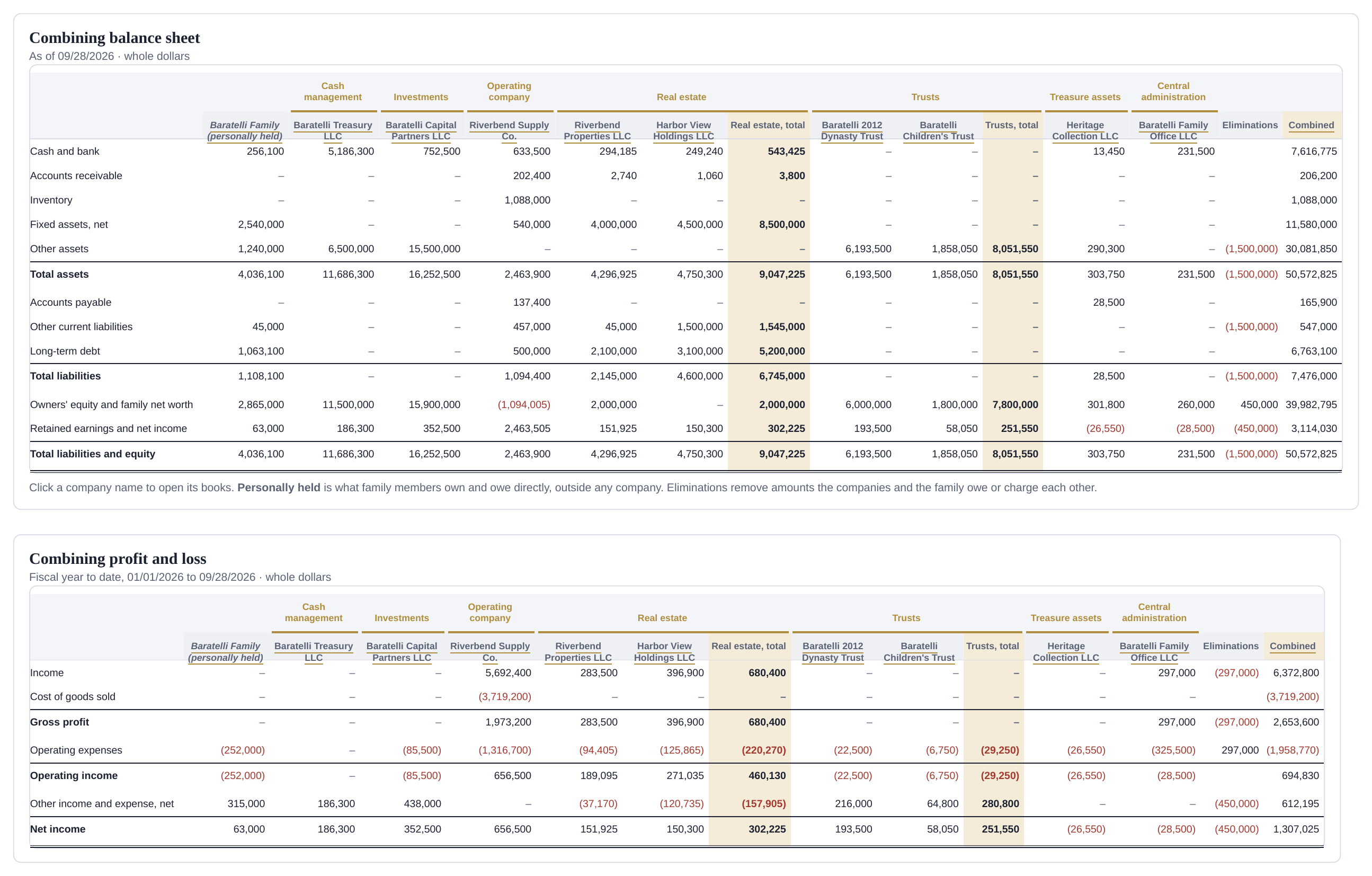 The combining balance sheet and combining profit and loss for the family office sample: fourteen company columns grouped as cash management, investments, operating company, real estate, trusts, treasure assets and central administration, then an eliminations column and a combined column.